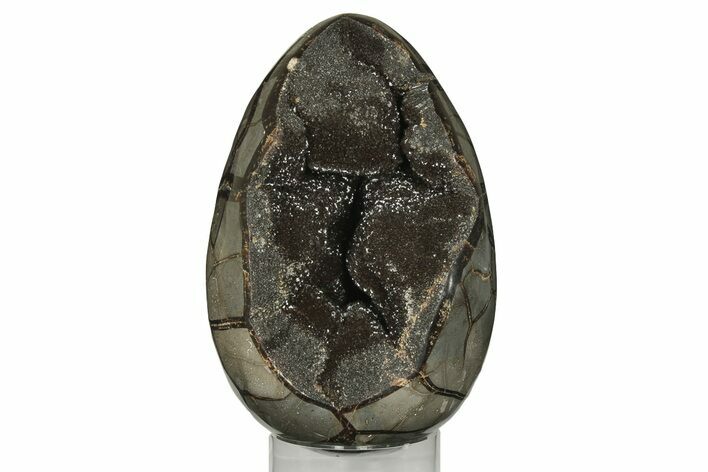 7.9" Septarian "Dragon Egg" Geode - Black Crystals